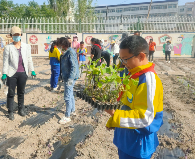 提质赋能让优质教育的阳光照亮每个孩子的生长之路 提质赋能让优质教育的阳光照亮每个孩子的生长之路