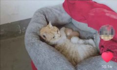 武汉百步亭这家“月子中心”火了 网友：太暖心